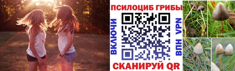 наркота  Шимановск  Галлюциногенные грибы мицелий 
